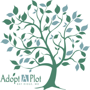 AAP_4c_logo